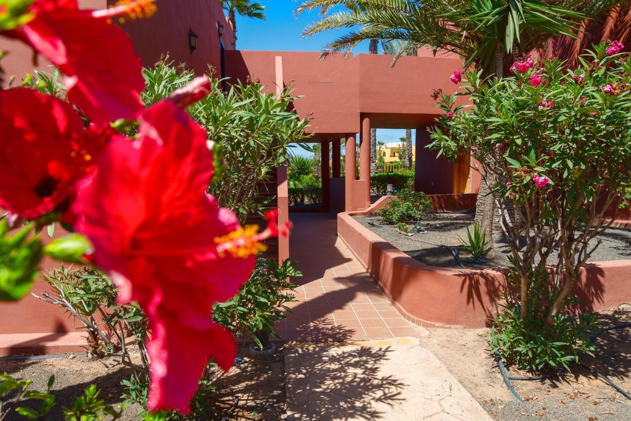 Apartamento La Rosa Dei Venti Corralejo Exterior foto